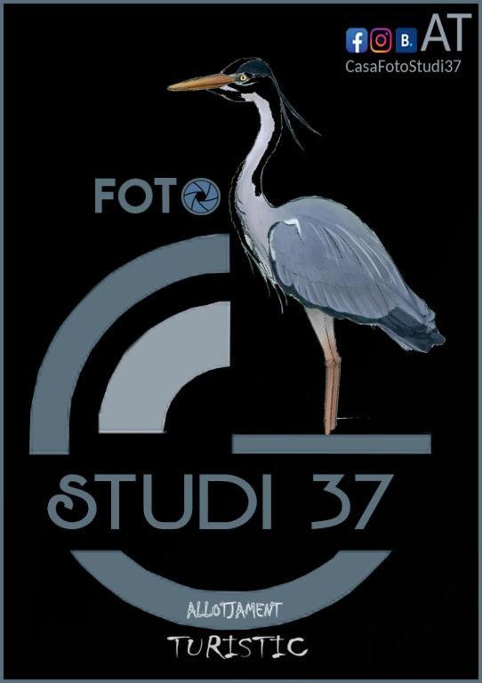 Apartmán Casa Fotostudi37 Deltebre Exteriér fotografie